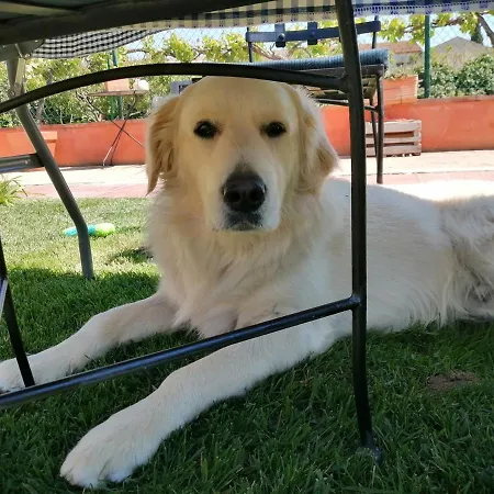 Дом отдыха Boulevard Los Poetas