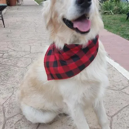 Дом отдыха Boulevard Los Poetas