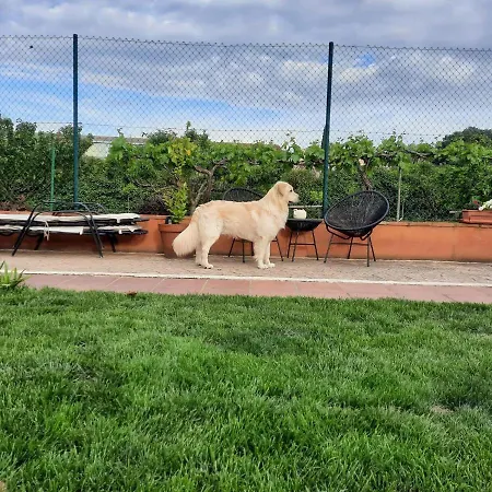 Boulevard Poetas San Mateo de Gállego