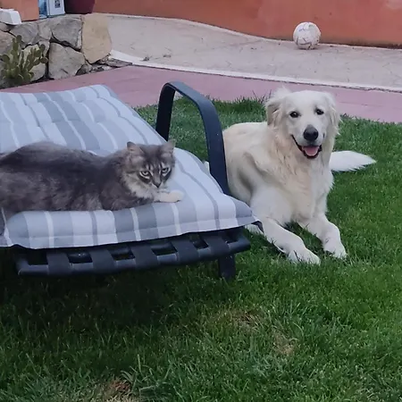 Дом отдыха Boulevard Los Poetas *