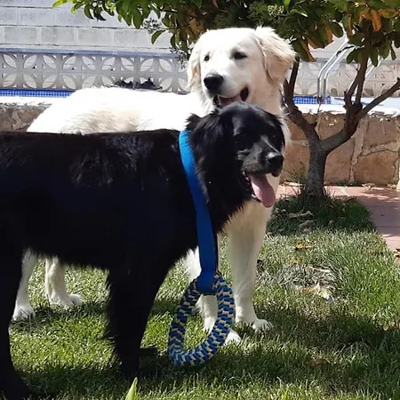 Boulevard Los Poetas * Сан-Матео-де-Гальего