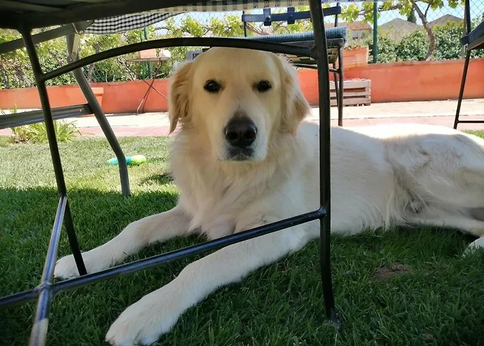 Casa vacanze Boulevard Poetas