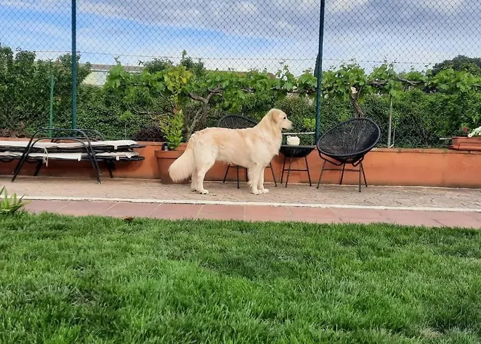 Boulevard Poetas San Mateo de Gállego