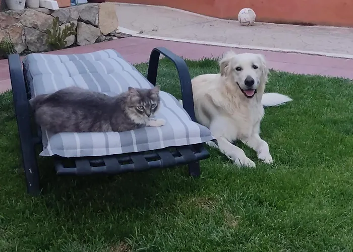 Casa vacanze Boulevard Poetas *