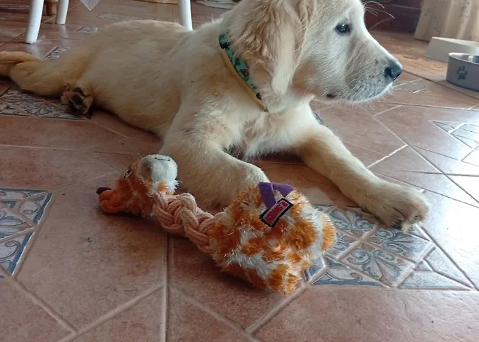 Casa vacanze Boulevard Poetas San Mateo de Gállego