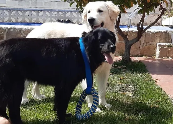 Boulevard Poetas * San Mateo de Gállego